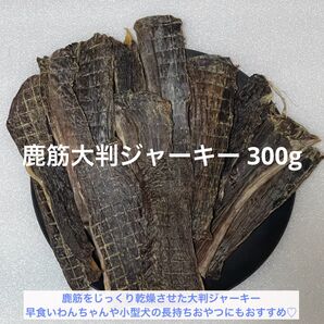 【完全無添加】 鹿筋大判ジャーキー 鹿ジャーキー 300g