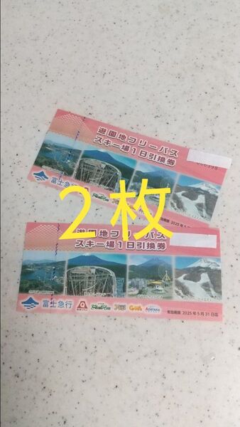 富士急ハイランドフリーパス2枚