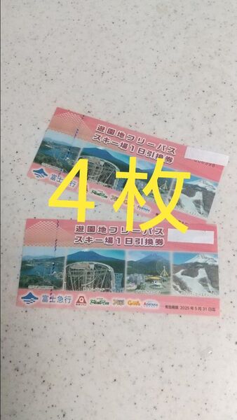 富士急ハイランドフリーパス4枚
