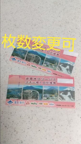 富士急ハイランドフリーパス2枚