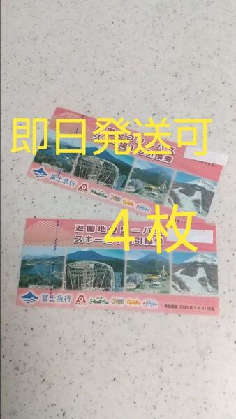 富士急ハイランドフリーパス4枚