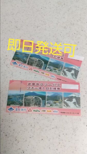 富士急ハイランドフリーパス2枚