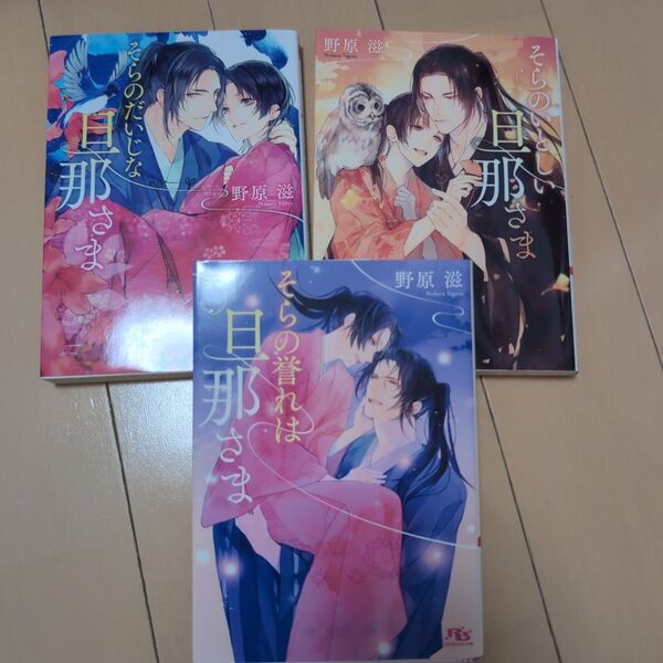 そらのだいじな旦那さま (幻冬舎ルチル文庫 の1-8) 野原滋/著