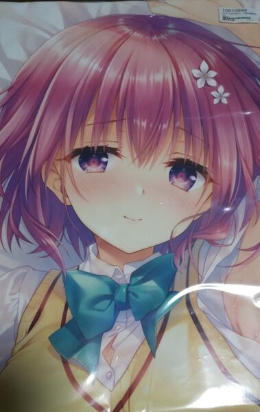 館川まこ WNB モモちゃん 抱き枕カバー ライクトロンリッチ 再版加筆修正Ver 正規品 新品未開封品 再出品可能