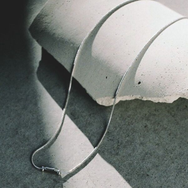早い者勝ち!WYM SNAKE CHAIN NECKLACE