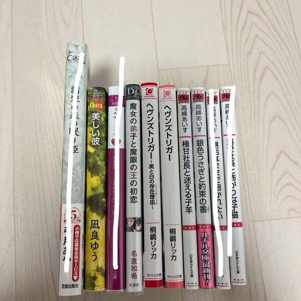 bl小説 バラ売り