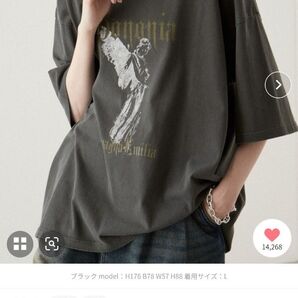 【本日削除】【即日発送】【Alfred Alex】ヴィンテージメイクデザイン ビッグピグメント半袖プリント刺繍Tシャツ