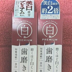 【匿名発送】歯磨き堂 薬用ホワイトニングペーストプレミアム60g×2箱