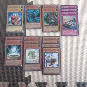 遊戯王 恐竜族 デッキパーツ POTD まとめ売り セット売り 6種17枚