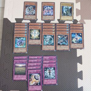 遊戯王 エーリアン 爬虫類 POTD TAEV デッキ パーツ まとめ セット