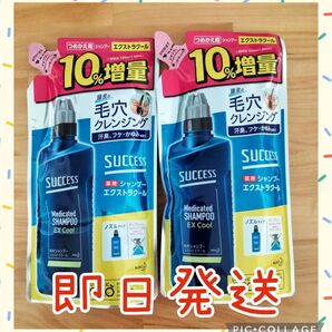 花王 サクセス 薬用シャンプー エクストラクール つめかえ用 増量 360ml×2袋