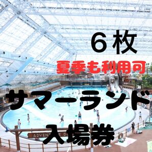 東京サマーランド 6枚(夏季も使用可能)