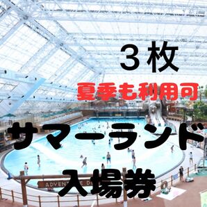 東京サマーランド 3枚(夏季も使用可能)