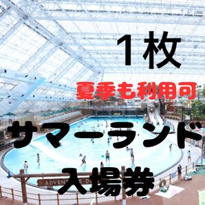 東京サマーランド 1枚 (夏季も使用可能)