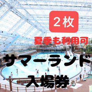 東京サマーランド 2枚(夏季も使用可能)