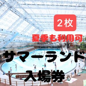 東京サマーランド 2枚(夏季も使用可能)