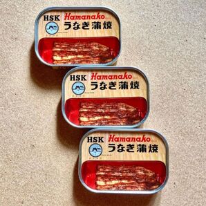 キャンプや非常食に是非! Hamanako 浜名湖 うなぎ蒲焼 缶詰 3缶セット