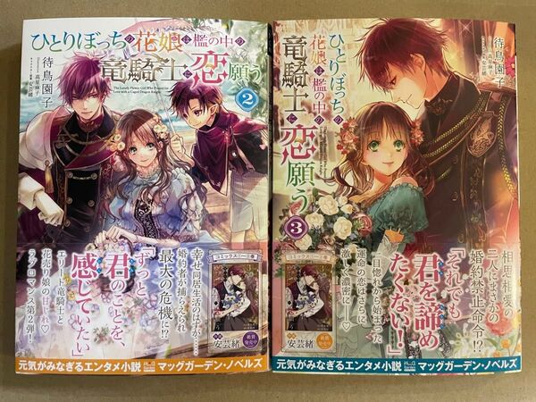 ひとりぼっちの花娘は檻の中の竜騎士に恋願う 2, 3