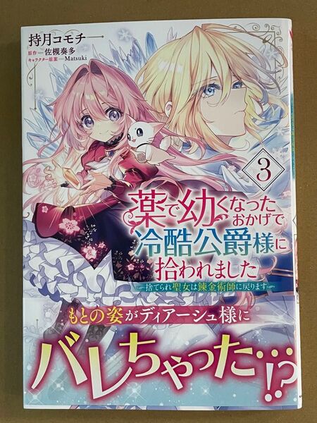 薬で幼くなったおかげで冷酷公爵様に拾われました ―捨てられ聖女は錬金術師に戻ります― 3