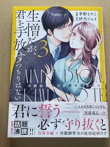 生憎だが、君を手放すつもりはない~冷徹御曹司の激愛が溢れたら~ 3
