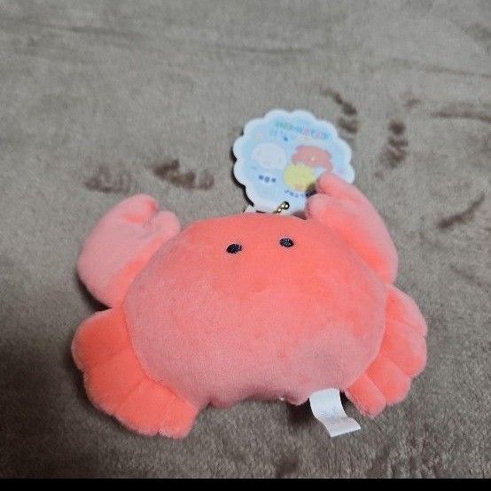 つぶらな瞳の水族館 むぎゅぬい その3 かに