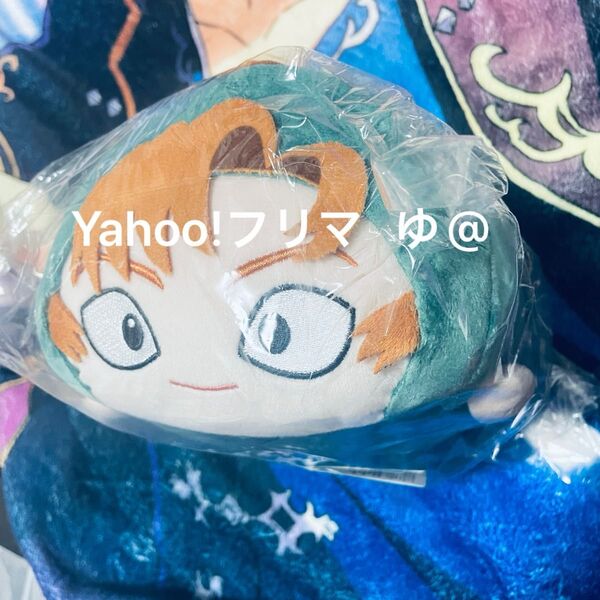 ぽてコロマスコット Mサイズ 忍たま乱太郎 善法寺伊作