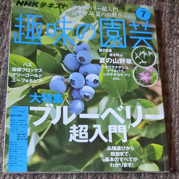 NHK 趣味の園芸 2019年7月号