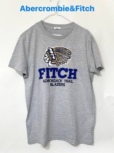 アバクロアンドフィッチAbercrombie&Fitchコットン刺繍半袖Tシャツ ライトグレー Lサイズ