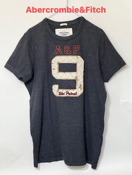 アバクロアンドフィッチAbercrombie&Fitchコットン刺繍半袖TシャツメンズアメカジXLグレー