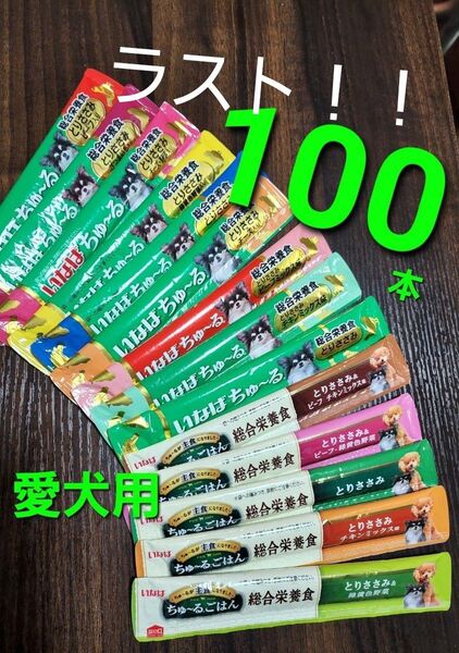 いなば 総合栄養食ちゅ~るごはん & 総合栄養食wanちゅ~る 合計100本 犬用ちゅ~る 愛犬用ウェットフード
