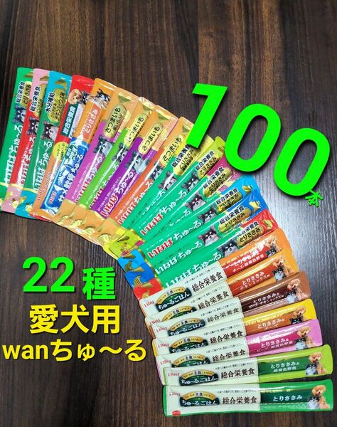 111 いなば 総合栄養食ちゅ~るごはん & wanちゅ~る 22種100本 犬用ちゅ~る ウェットフード 愛犬用