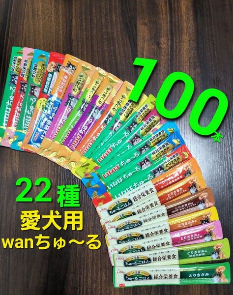 111 いなば 総合栄養食ちゅ~るごはん & wanちゅ~る 22種100本 犬用ちゅ~る ウェットフード 愛犬用