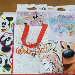 【ディズニー】 ショッパー&ノベルティ巾着 ・ecoバッグ110th記念★レア希少品・入院・介護・お泊まり・ペット輸送仕訳