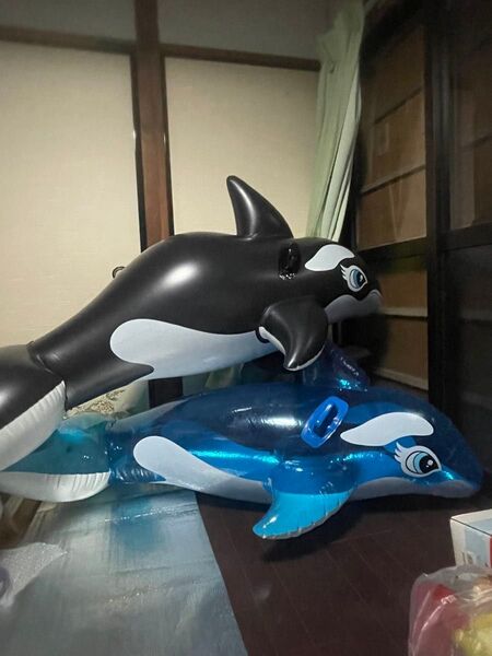 INTEX シャチフロート 浮き輪 空ビ