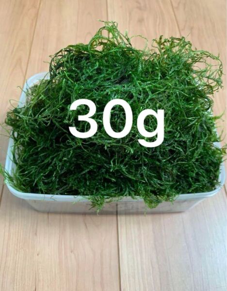 ウィローモス 30g