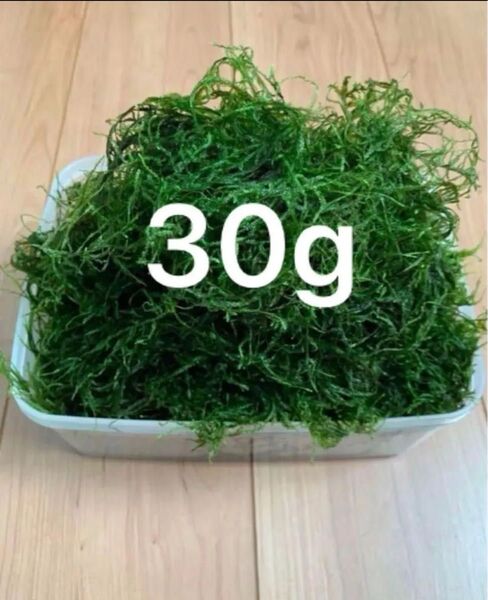 ウィローモス 30g