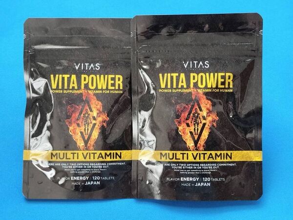 VITAS バイタス VITA POWER ビタパワー マルチビタミン 120粒×2袋