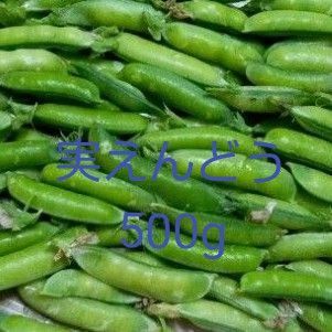 無農薬 えんどう豆 500g 実えんどう グリンピース