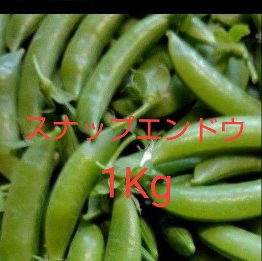 無農薬 スナップエンドウ 1Kg