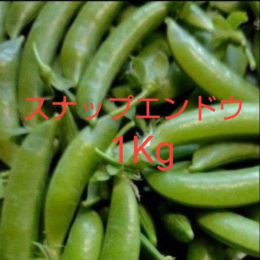無農薬 スナップエンドウ 1Kg