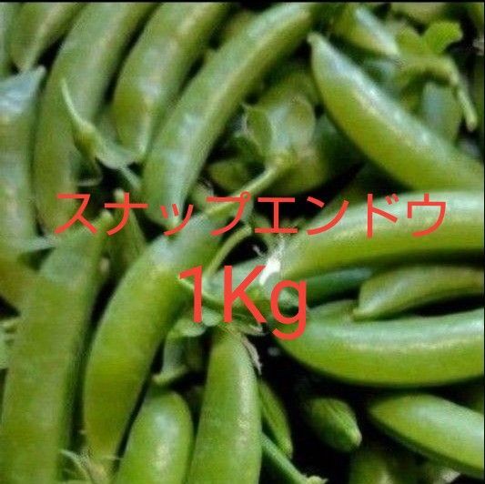 無農薬 スナップエンドウ 1Kg