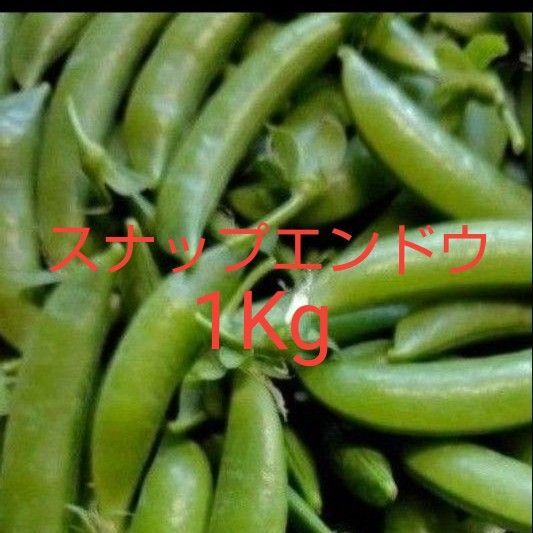 無農薬 スナップエンドウ 1Kg