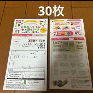 JAキャンペーン 懸賞ハガキのみ30枚