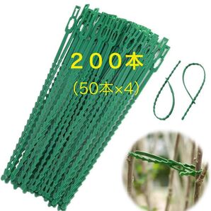 結束バンド リピートタイ 園芸用 23cm (50×4 200本セット)