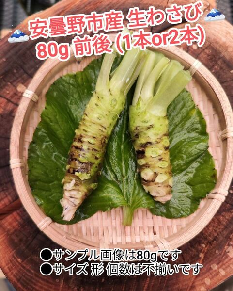 80g前後 信州 安曇野 本わさび 生ワサビ あづみ野 山葵 WASABI 沢わさび