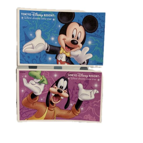 東京ディズニーリゾート スポンサーパスポート パークチケット ペア 2026年4月期限