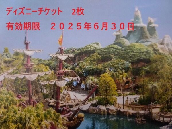 ディズニーチケット 2枚 有効期限2025年6月30日
