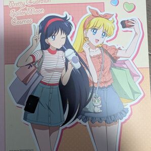 セーラームーン 火野レイ 愛野美奈子 ミニ色紙 非売品 イラストカード