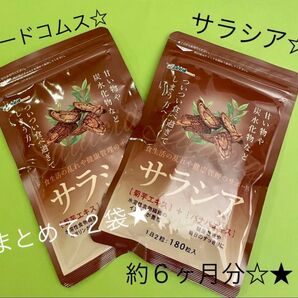 シードコムス☆ ★サラシア☆約6ヵ月分 ☆360粒 ☆サプリ★☆