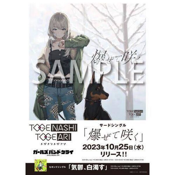 ガールズバンドクライ 爆ぜて咲く 告知ポスター